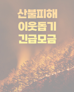 산불피해 이웃돕기 긴급모금(종료)