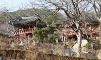 (사)더불어함께새희망과 함께하는 미혼모자여행!