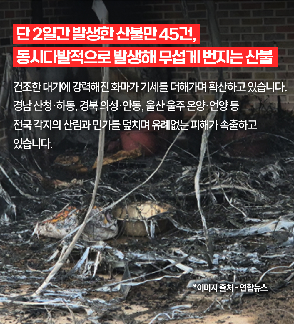 이미지명