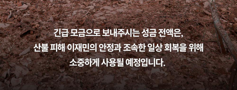 이미지명